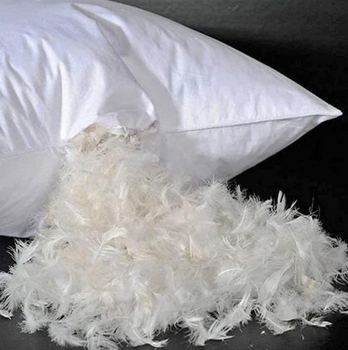 Duck Feather Pillow